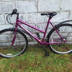Ladies Mountain Bike