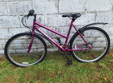 Ladies Mountain Bike