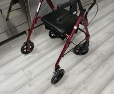 disability walker