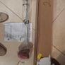 BRAND NEW Odyssey Ai-DUAL 7 Half Ball Putter 2026 Model 33 Inch Image 6