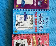Diary of a wimpy kid the ugly truth Deep end partypooper