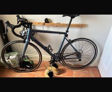 boardman