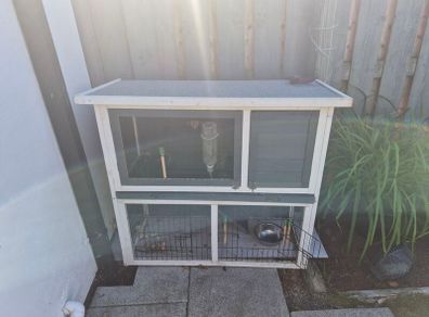 Rabbit Hutch