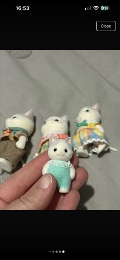 Latte cat Sylvanian families
