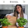 Herbs 'Grow Your Own' Terracotta Pots Image 2