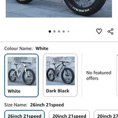 Fat tyre bike