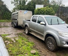 Livestock haulage