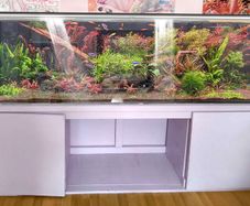 6.5 ft long 500 litre Aquarium with wired cabinet NO FISH