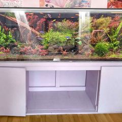 6.5 ft long 500 litre Aquarium with wired cabinet NO FISH