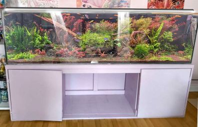 6.5 ft long 500 litre Aquarium with wired cabinet NO FISH