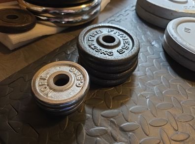 Dumbbells Cast Iron Weight Plates