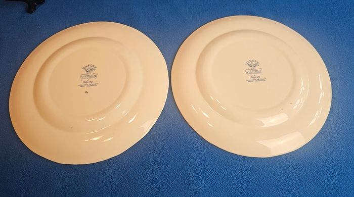 2 beautiful Masons Ironstone dinner plates in the "Regency" pattern, England, c. 1940-1950.