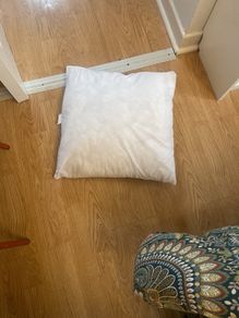 cushion inserts free x 6