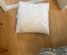 cushion inserts free x 6