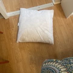cushion inserts free x 6