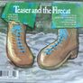 Cat Stevens - Teaser And The Firecat CD (1971) 2000 Remastered Reissue EX+ Image 3