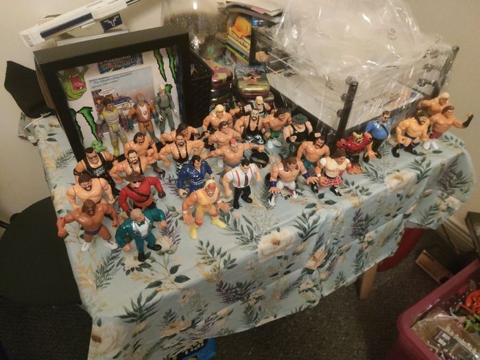 Wwf