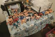 Wwf