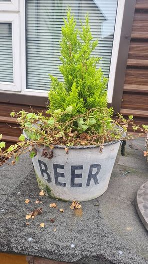 Pub