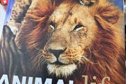 DK Animal life book
