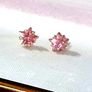 BN White Gold Pink Sapphire Star Studs Image 2