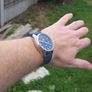 Cestrian Field Watch Image 5