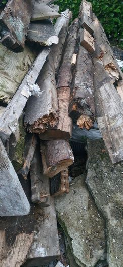 timber