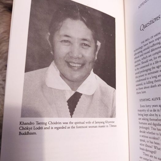 The Tibetan Book of Living & Dying/ 1993