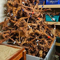 Aquarium Wood