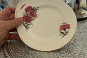 carrigaline side plates
