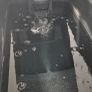 Ice bath Image 4