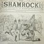The SHAMROCK. 51 editions. National Magazine of Ireland News politics Illustrated. 1892. Rare antique book, novel. Image 9