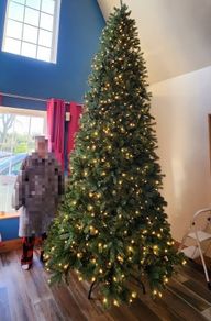 12' Christmas tree