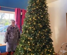 12' Christmas tree