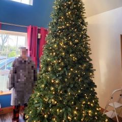 12' Christmas tree
