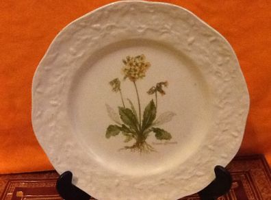 Mason's Plate