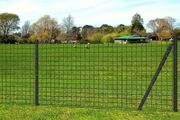 Euro Fence Steel 25x1.7 m Grey