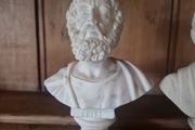 bust