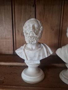 bust