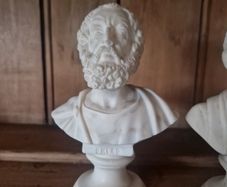 bust