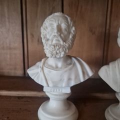 bust