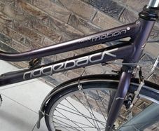 Ridgeback ladies hybrid( can deliver)