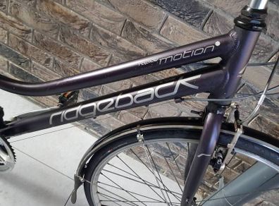 Ridgeback ladies hybrid( can deliver)
