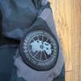 canada goose Image 4