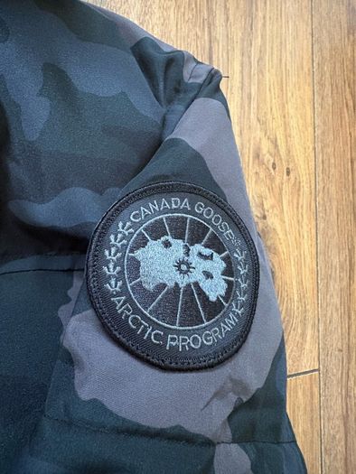 canada goose