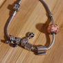 Silver Pandora Charm Bracelet Image 10