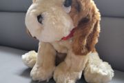 Puppy Soft Toy Like New With Collar Teddy Bear Plush Toys Teddies Soft Toys Comforter