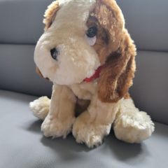 Puppy Soft Toy Like New With Collar Teddy Bear Plush Toys Teddies Soft Toys Comforter