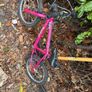 bike girls Image 3