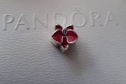 New genuine pandora pink orchid charm